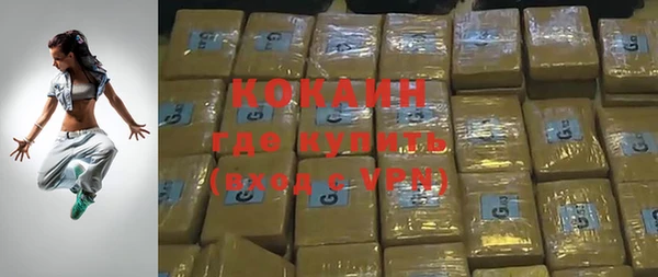 индика Богданович