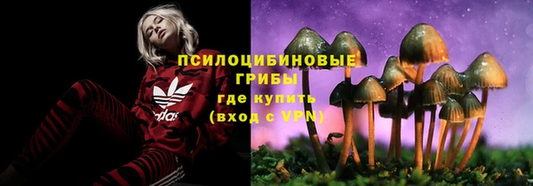 индика Богданович