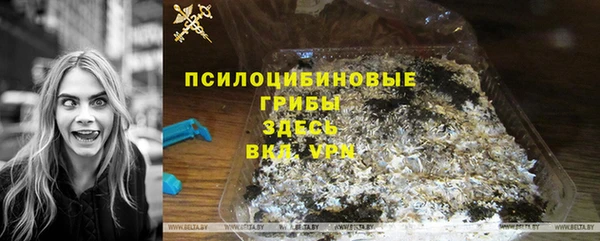 ECSTASY Пролетарск